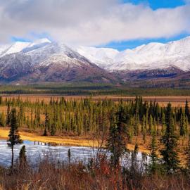 Befriending the Wild Ones